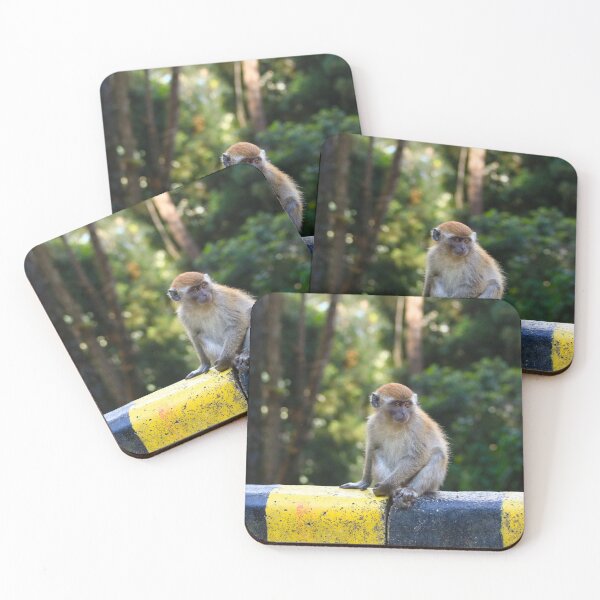 Item preview, A monkey in the forest designed and sold by Jonas Petracic.