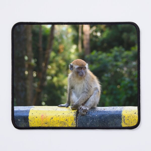 Item preview, A monkey in the forest designed and sold by Jonas Petracic.