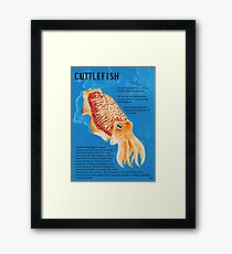 Cuttlefish Framed Print