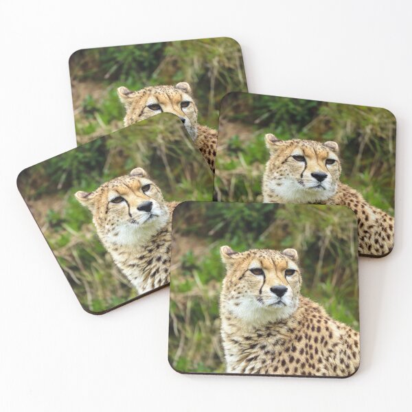 Item preview, Cheetah Wildlife Photography | Majestic African Big Cat Nature Portrait designed and sold by leonwoods.