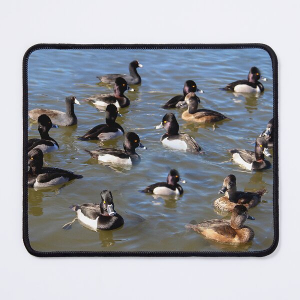 Item preview, Where's the Food? designed and sold by heatherfriedman.