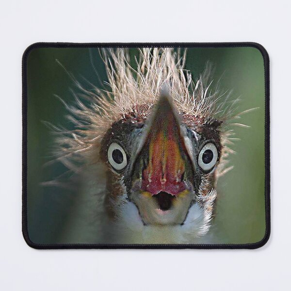 Item preview, "WAIT---WHAT?" designed and sold by SKIP WILLITS FINE ART.
