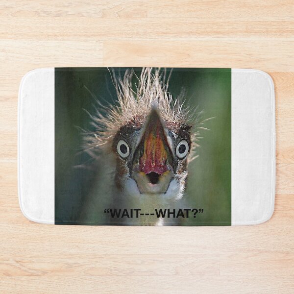 Item preview, "WAIT---WHAT?" designed and sold by SKIP WILLITS FINE ART.