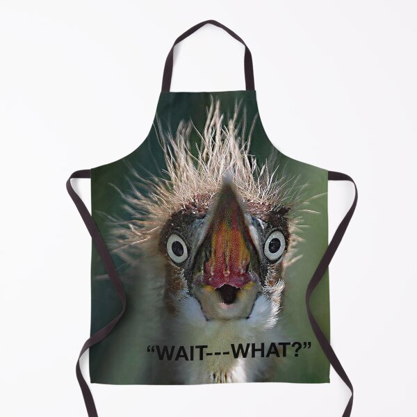 Item preview, "WAIT---WHAT?" designed and sold by SKIP WILLITS FINE ART.