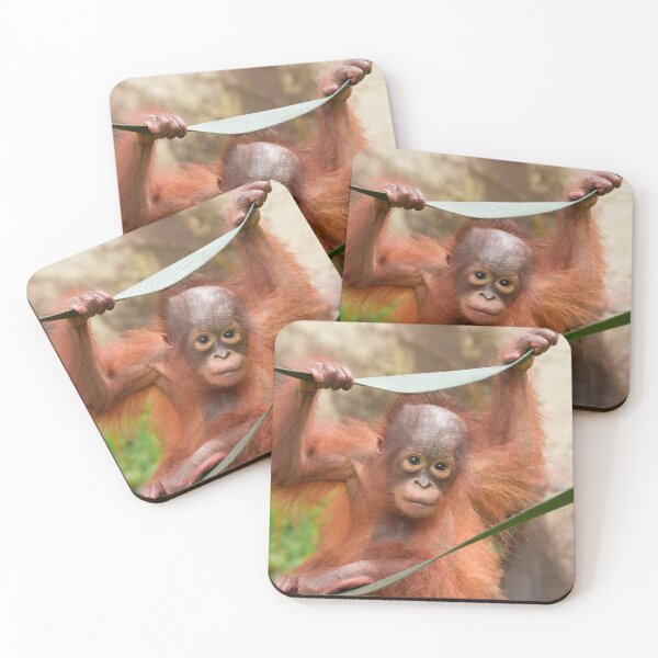 Item preview, Baby Orangutan Connection designed and sold by rawshutterbug.