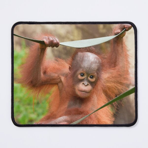 Item preview, Baby Orangutan Connection designed and sold by rawshutterbug.