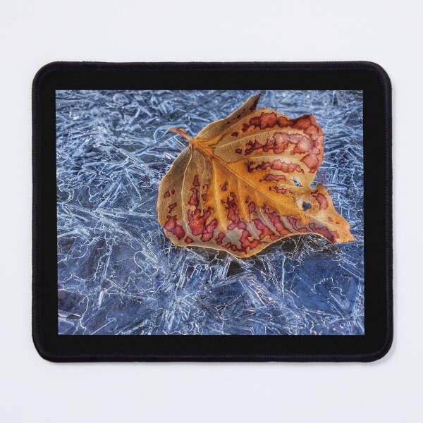 Item preview, Seasons Collide  designed and sold by PementPhotoArt.