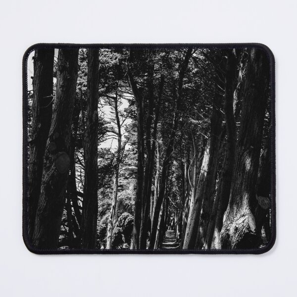 Item preview, Tree Lined Path designed and sold by williamsrdan.