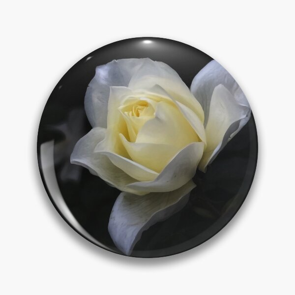 Item preview, The John F Kennedy Rose designed and sold by PementPhotoArt.