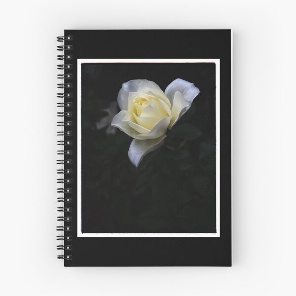 Item preview, The John F Kennedy Rose designed and sold by PementPhotoArt.
