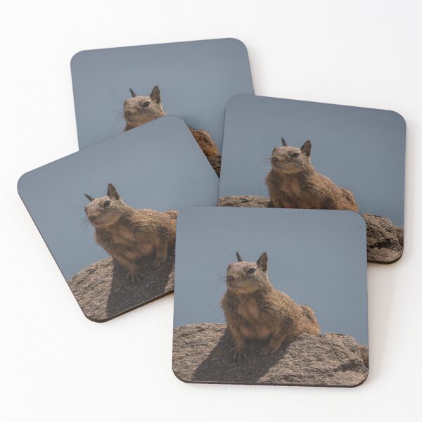 Item preview, Squirrel designed and sold by williamsrdan.