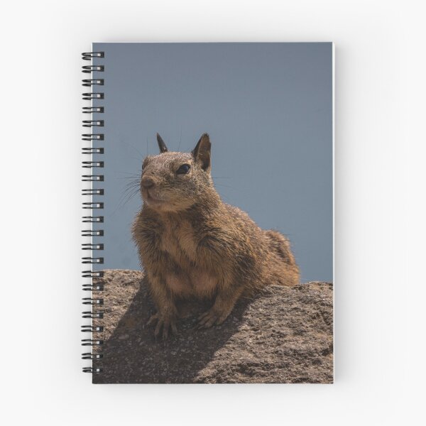 Item preview, Squirrel designed and sold by williamsrdan.