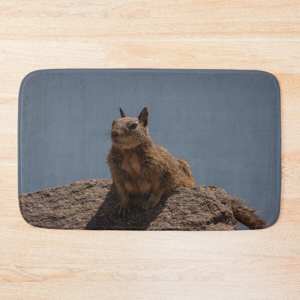 Item preview, Squirrel designed and sold by williamsrdan.