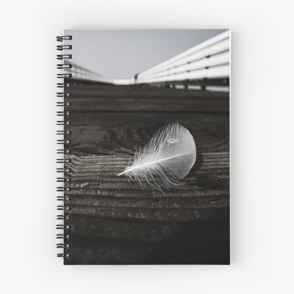 Item preview, Feather on Pier designed and sold by williamsrdan.