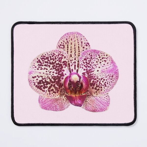 Item preview, spotted pink orchid flower sticker designed and sold by inainart.