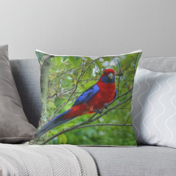 Item preview, Crimson Rosella at Lamington designed and sold by Michael Matthews.