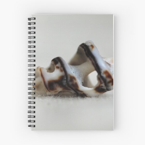 Item preview, Broken conch seashell sideview designed and sold by MeowsAndLeaves.