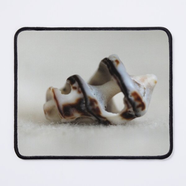 Item preview, Broken conch seashell sideview designed and sold by MeowsAndLeaves.