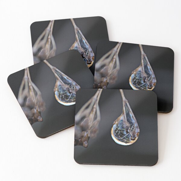 Item preview, A drop of water in nature designed and sold by MeowsAndLeaves.