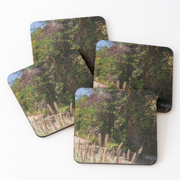 Item preview, path on the hill designed and sold by PolinkCreaFotos.