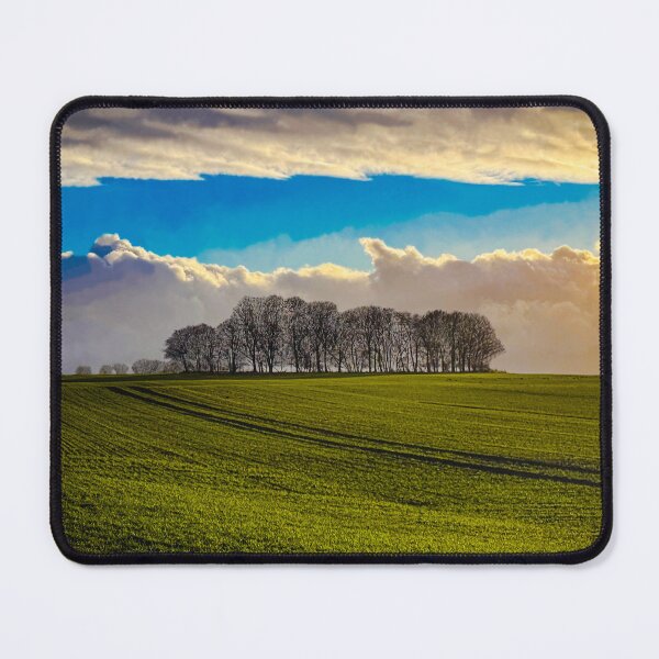 Item preview, Stand of bare trees on a hill under a line of clouds designed and sold by Michael Brewer.