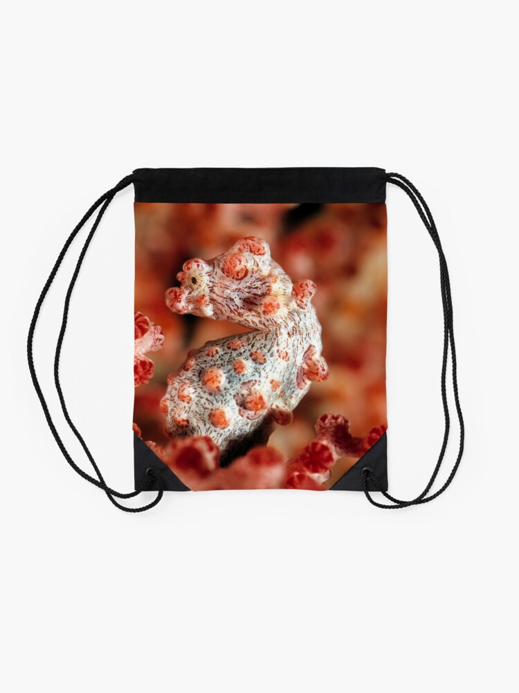 Alternate view of Pygmy seahorse Drawstring Bag