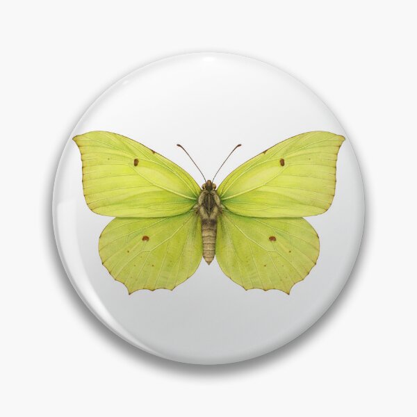 Item preview, Intricate Brimstone Butterfly designed and sold by TenderPawStudio.