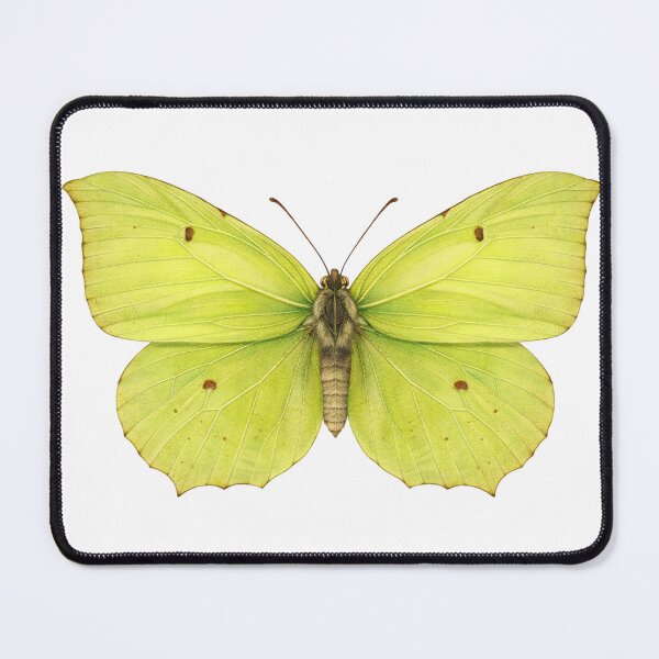 Item preview, Intricate Brimstone Butterfly designed and sold by TenderPawStudio.