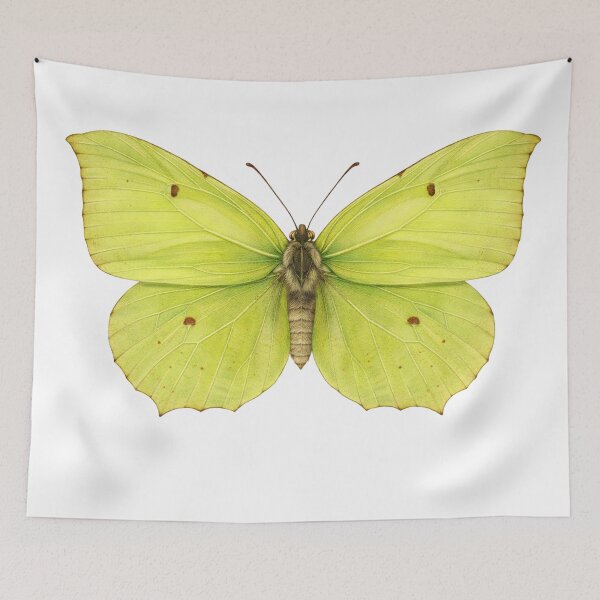 Item preview, Intricate Brimstone Butterfly designed and sold by TenderPawStudio.