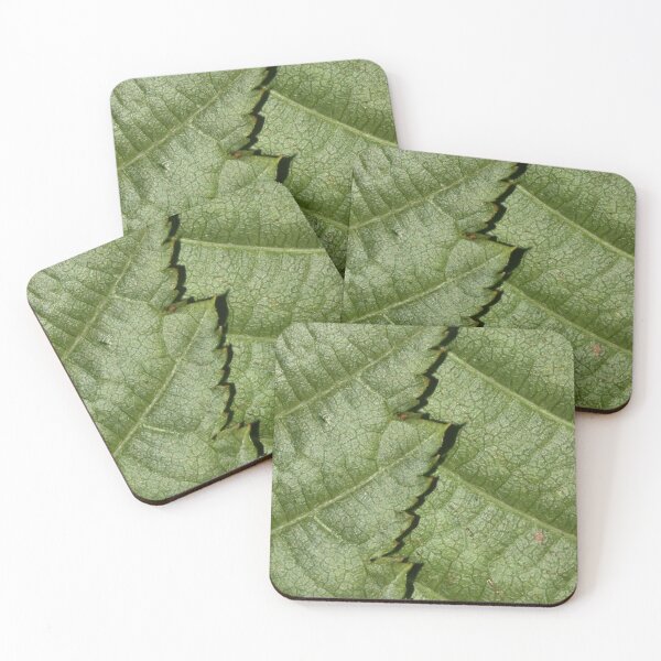 Item preview, A Leafy Connection designed and sold by emmacullphotography.