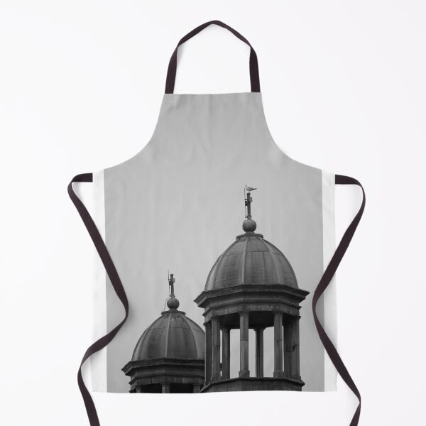 Item preview, Two Domes in the Sky designed and sold by emmacullphotography.