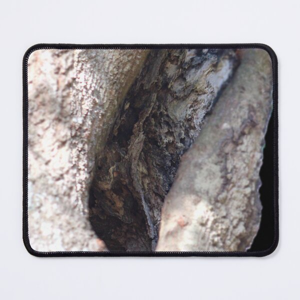 Item preview, Intricate Tree Bark Texture designed and sold by Cynthia48.