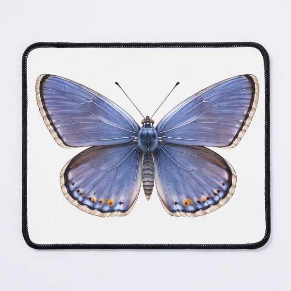Item preview, Intricate Common Blue Butterfly designed and sold by TenderPawStudio.