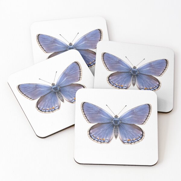 Item preview, Intricate Common Blue Butterfly designed and sold by TenderPawStudio.