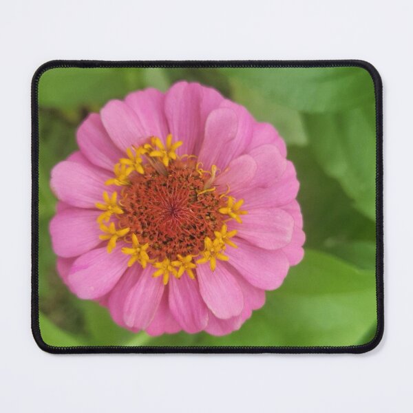 Item preview, 31 July 2025 (3) designed and sold by Abeink1030.