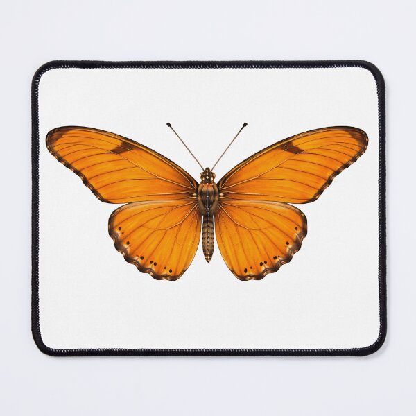 Item preview, Great Julia Butterfly designed and sold by TenderPawStudio.