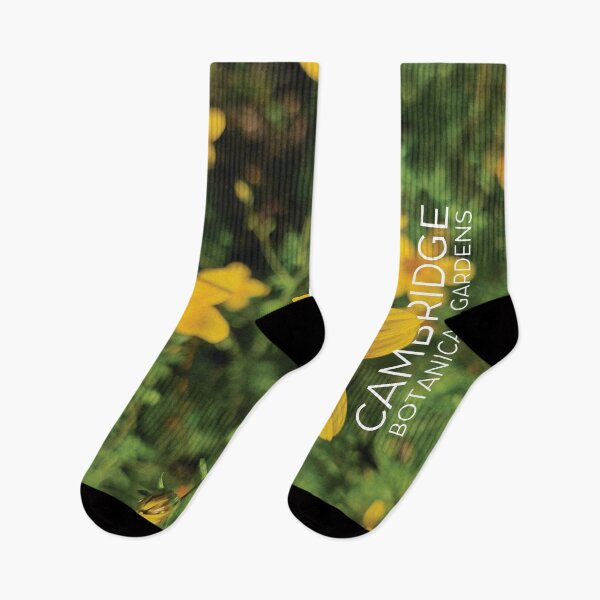 Item preview, Flowers at Cambridge Botanical Gardens, England designed and sold by CHASAcreative.