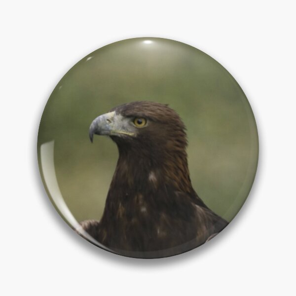 Item preview, Golden Eagle designed and sold by jalfc46.