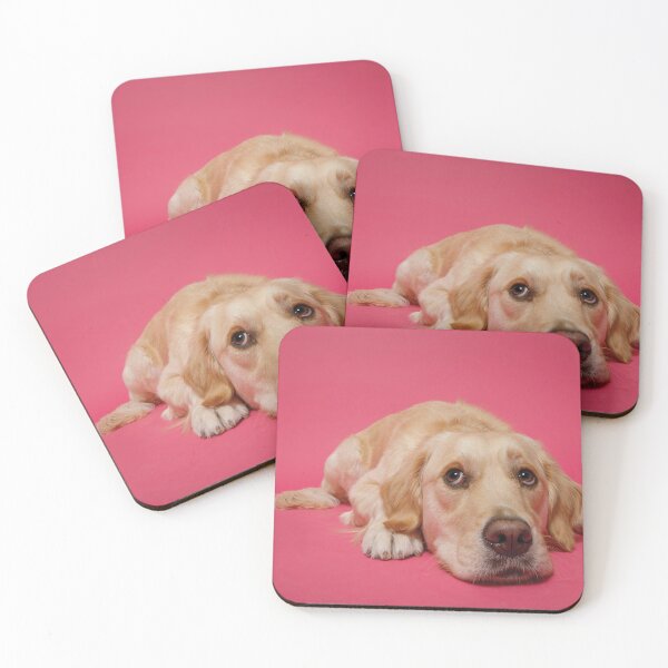 Item preview, Service Dog In-training Rosie designed and sold by PWPinc.