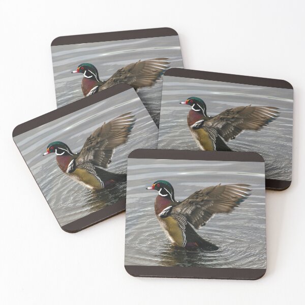 Item preview, Wood Duck Drake Showing Off designed and sold by SeaChangeDesign.