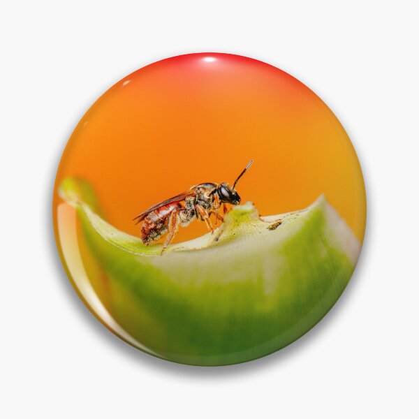 Item preview, Red Bee of the Parasphecodes subgenus designed and sold by robdwildlife.