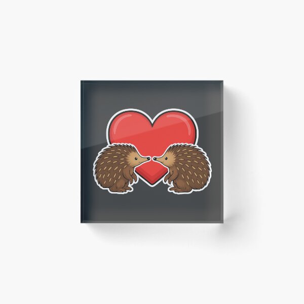 Item preview, Sweet Echidna Heart Illustration - Cute Valentine Animal Love Design for Couples Gifts designed and sold by AnTartstudios.