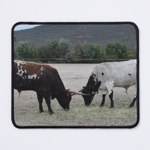 Item preview, Longhorns in Tranquil Accord designed and sold by Yolanda Caporn Art.