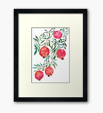 pomegranate watercolor Framed Print