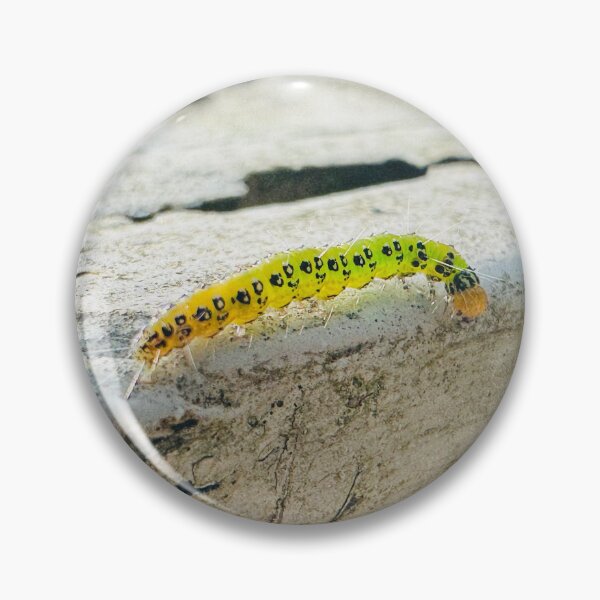 Item preview, Caterpillar on Ledge  designed and sold by Jasbindar Singh.