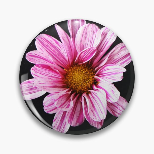 Item preview, Chrysanthemum Flower designed and sold by Alan Harman.