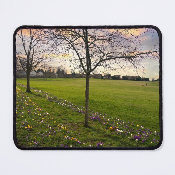 Item preview, Monk Bretton Park Barnsley designed and sold by Alisonchambers2.