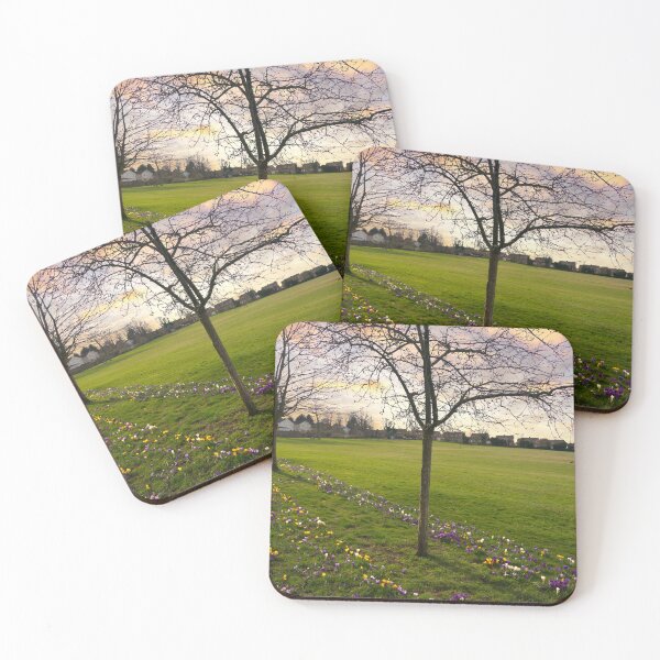 Item preview, Monk Bretton Park Barnsley designed and sold by Alisonchambers2.