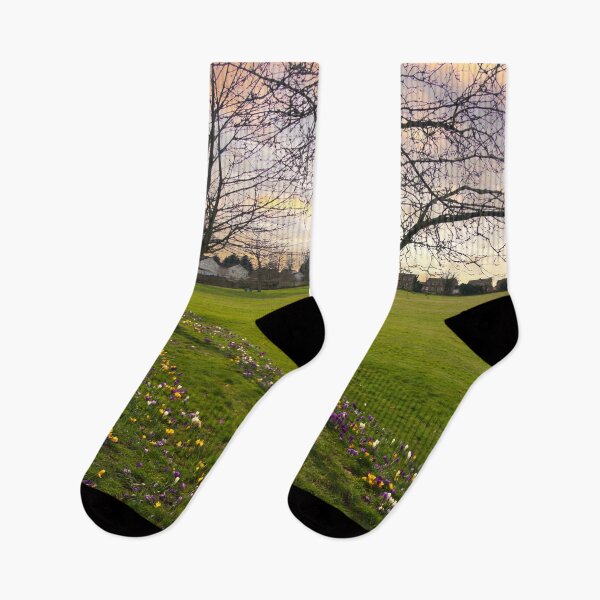 Item preview, Monk Bretton Park Barnsley designed and sold by Alisonchambers2.