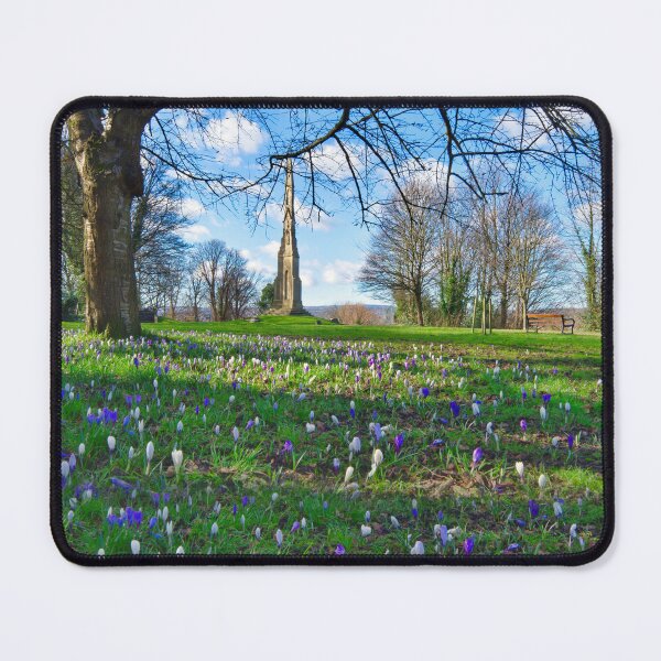 Item preview, Sheffield Norfolk Park designed and sold by Alisonchambers2.